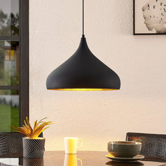 Modern Black and Gold Teardrop Pendant Lamp