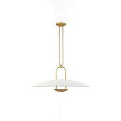 Contemporary Arched Design Pendant Lamp
