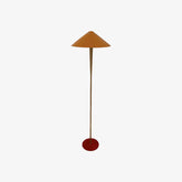 Cone Shade Modern Floor Lamp