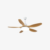 Five-Leaf Ceiling Fan Light