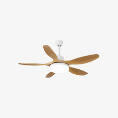 Five-Leaf Ceiling Fan Light