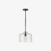 Clear Glass Dome Pendant Light