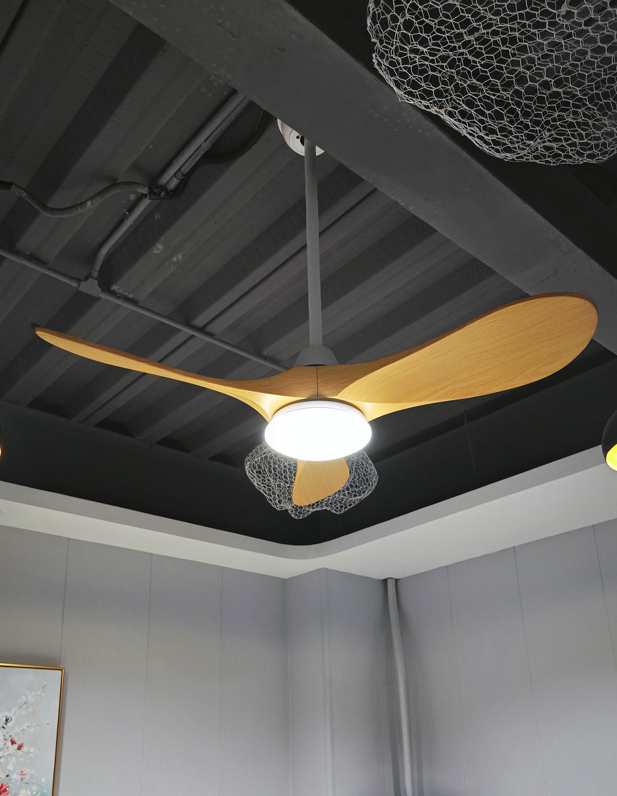 Modern ABS Ceiling Fan Light - view 13 | Liootrlamp
