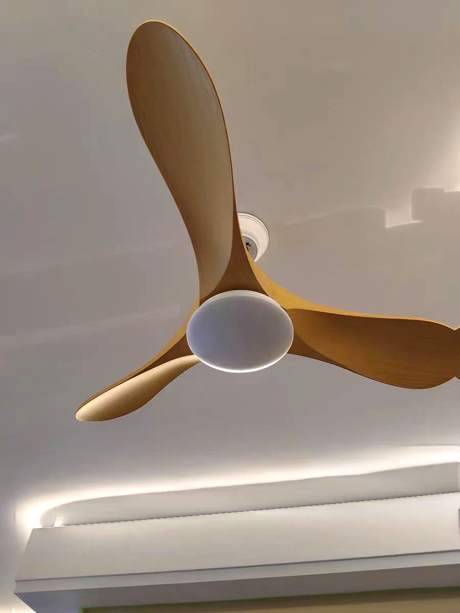 Modern ABS Ceiling Fan Light - view 16 | Liootrlamp