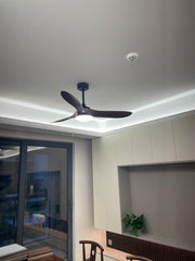 Modern ABS Ceiling Fan Light