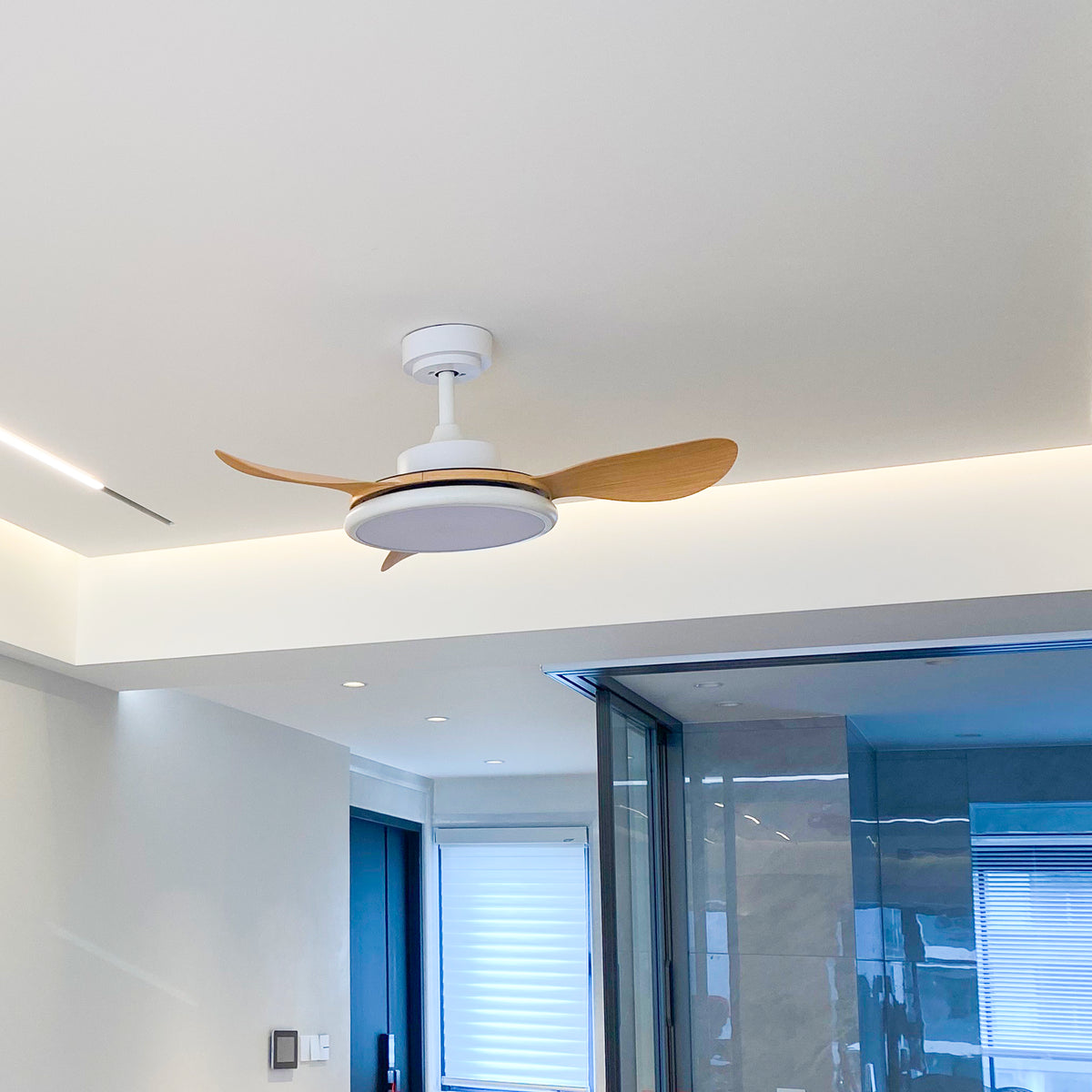 Modern Adjustable Ceiling Fan Light - view 3 | Liootrlamp