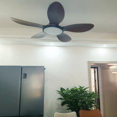 Modern Adjustable Ceiling Fan Light