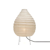 Organic Paper Table Lamp 22N