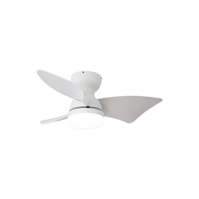 Spiral Ceiling Fan Light - view 13 | Liootrlamp
