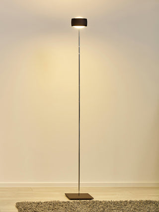 Elegant Thin Pole Floor Lamp