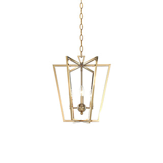 Frame gold cage chandelier