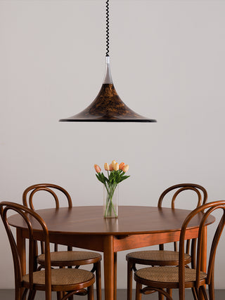 Vintage painted adjustable Pendant Light