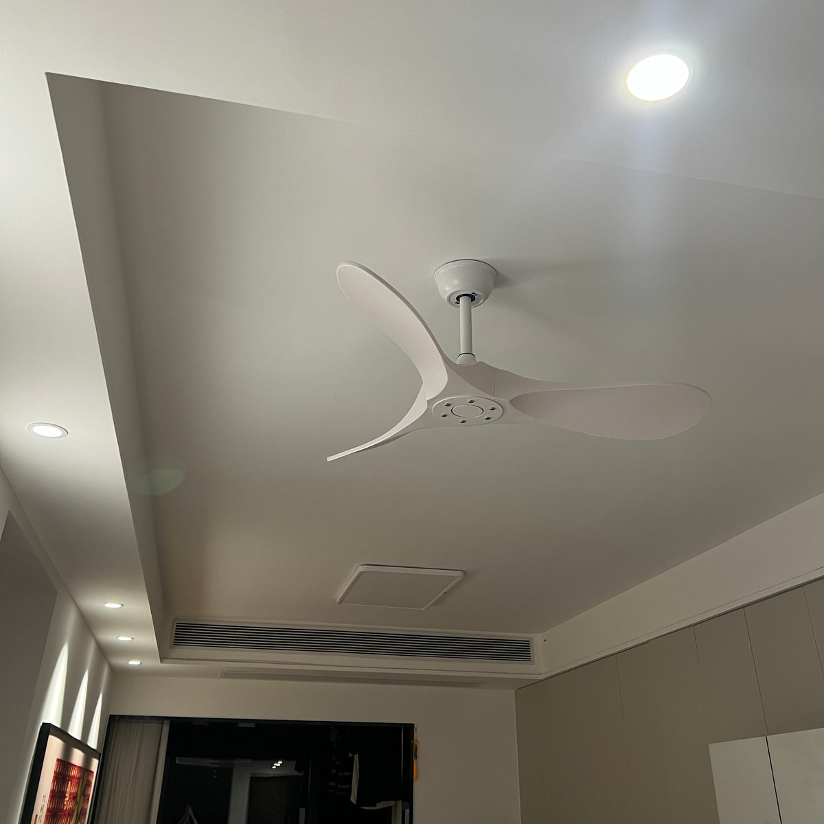 Modern ABS Ceiling Fan Light - view 11 | Liootrlamp