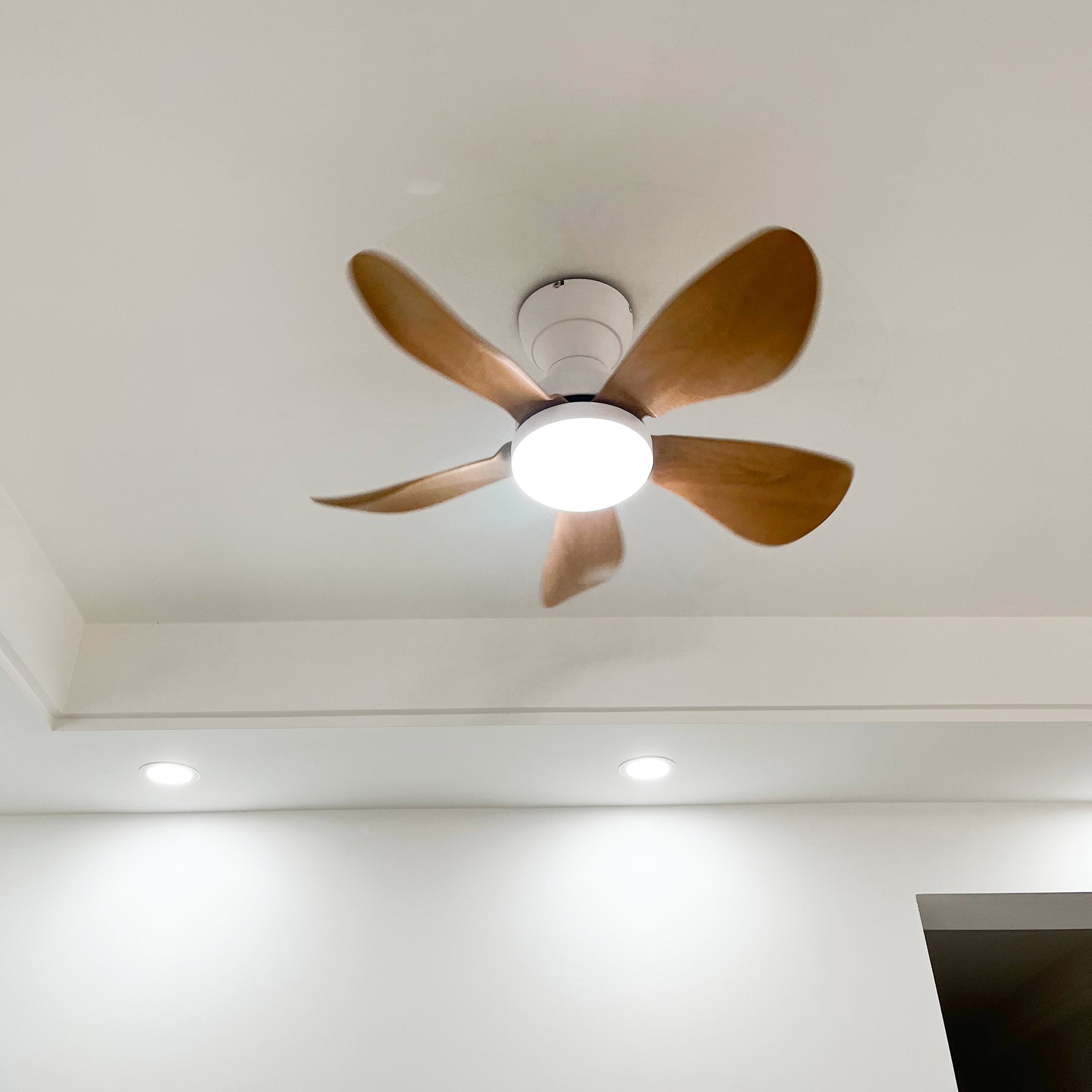 Embedded Five-Blade Fan Light