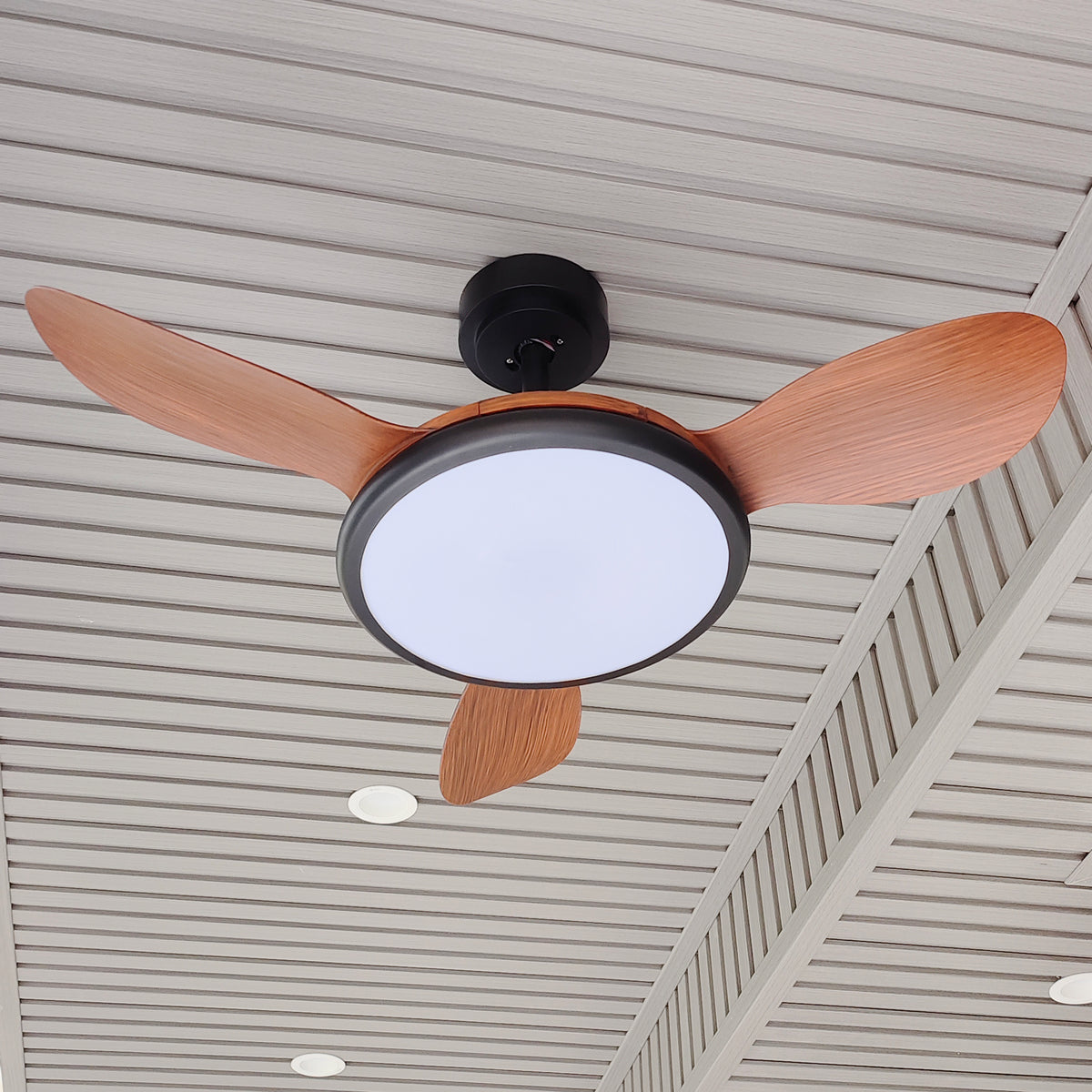 Modern Adjustable Ceiling Fan Light - view 2 | Liootrlamp