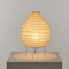 Organic Paper Table Lamp 22N