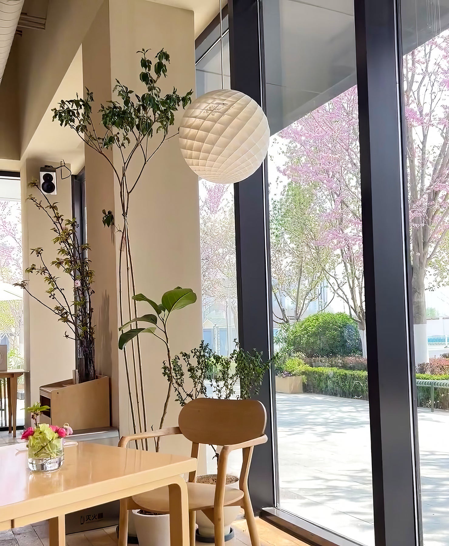 Patera Pendant Lamp