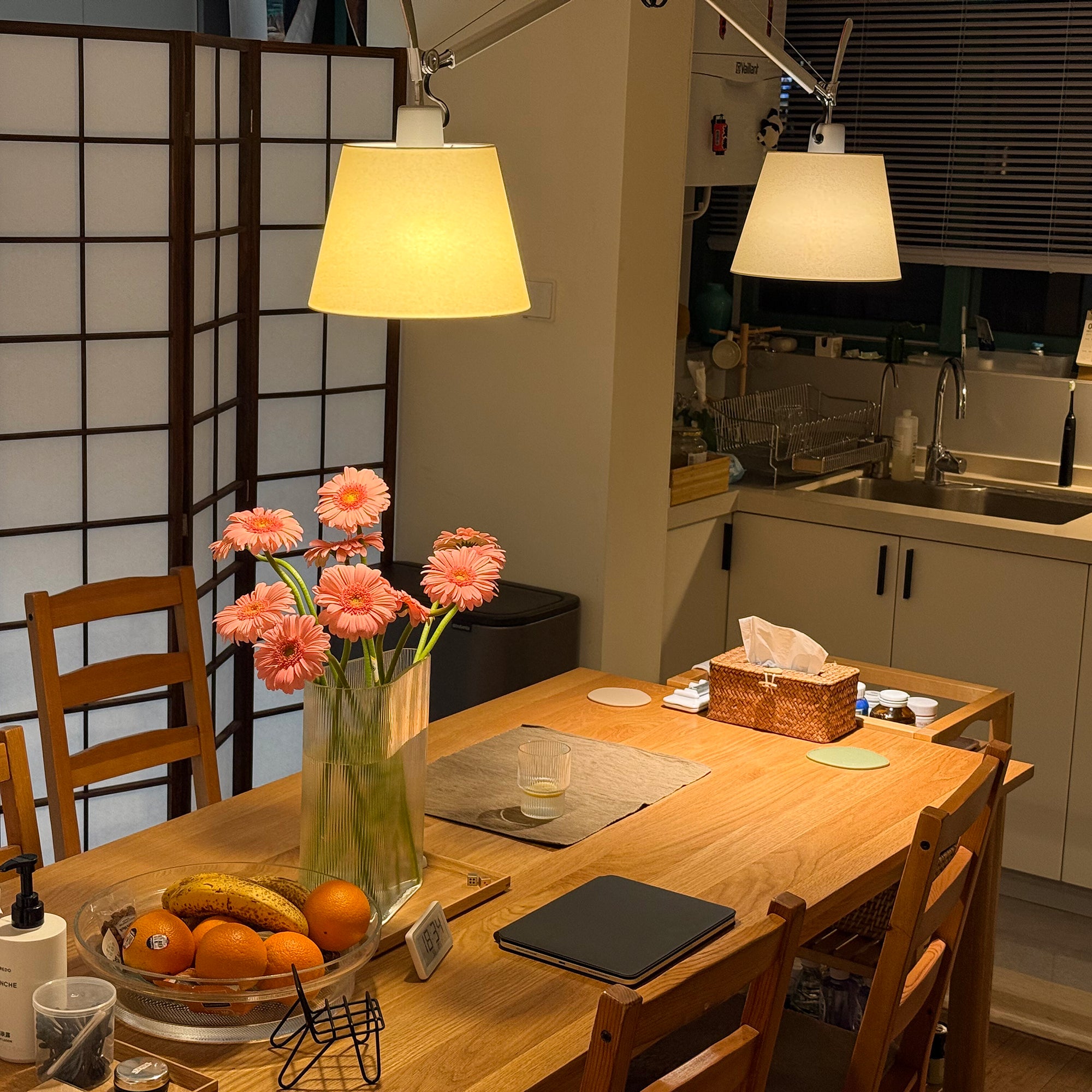 Tolomeo Double Arm Pendant Lamp