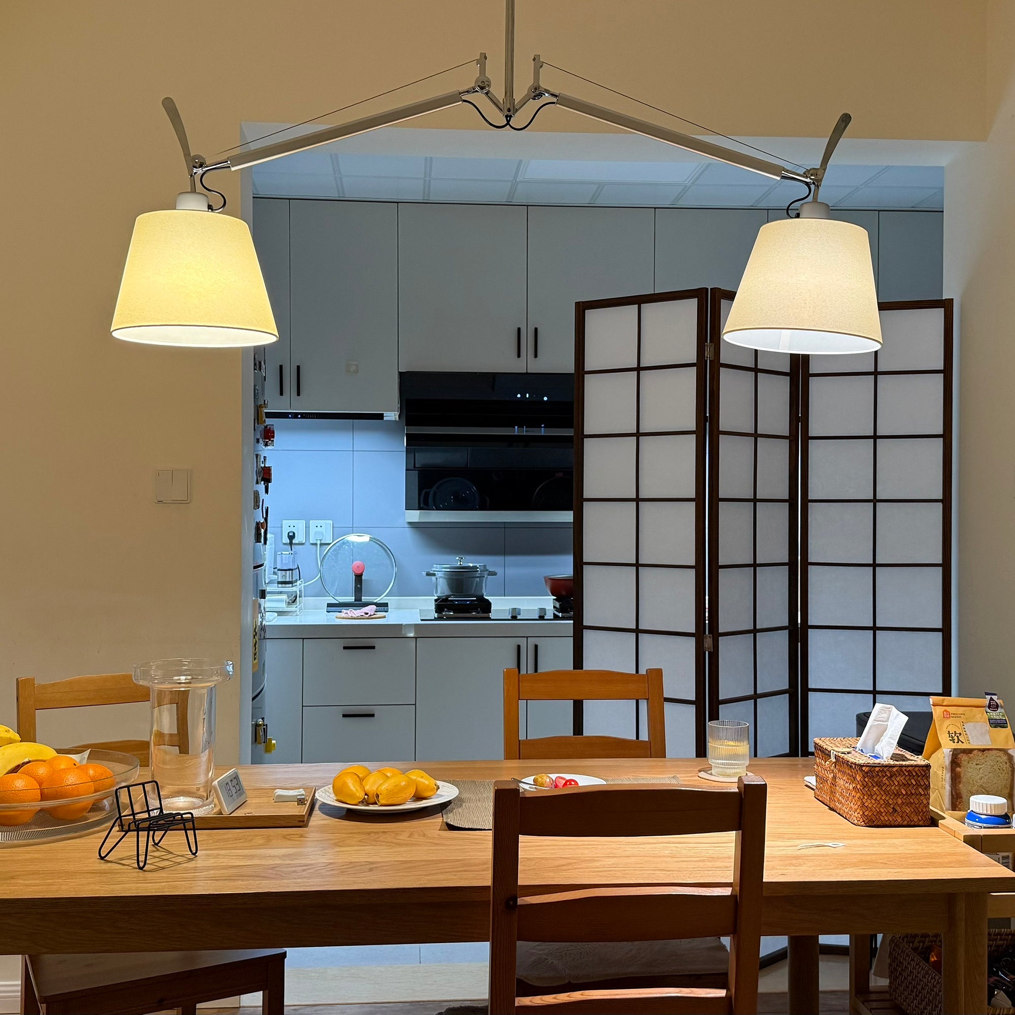 Tolomeo Double Arm Pendant Lamp